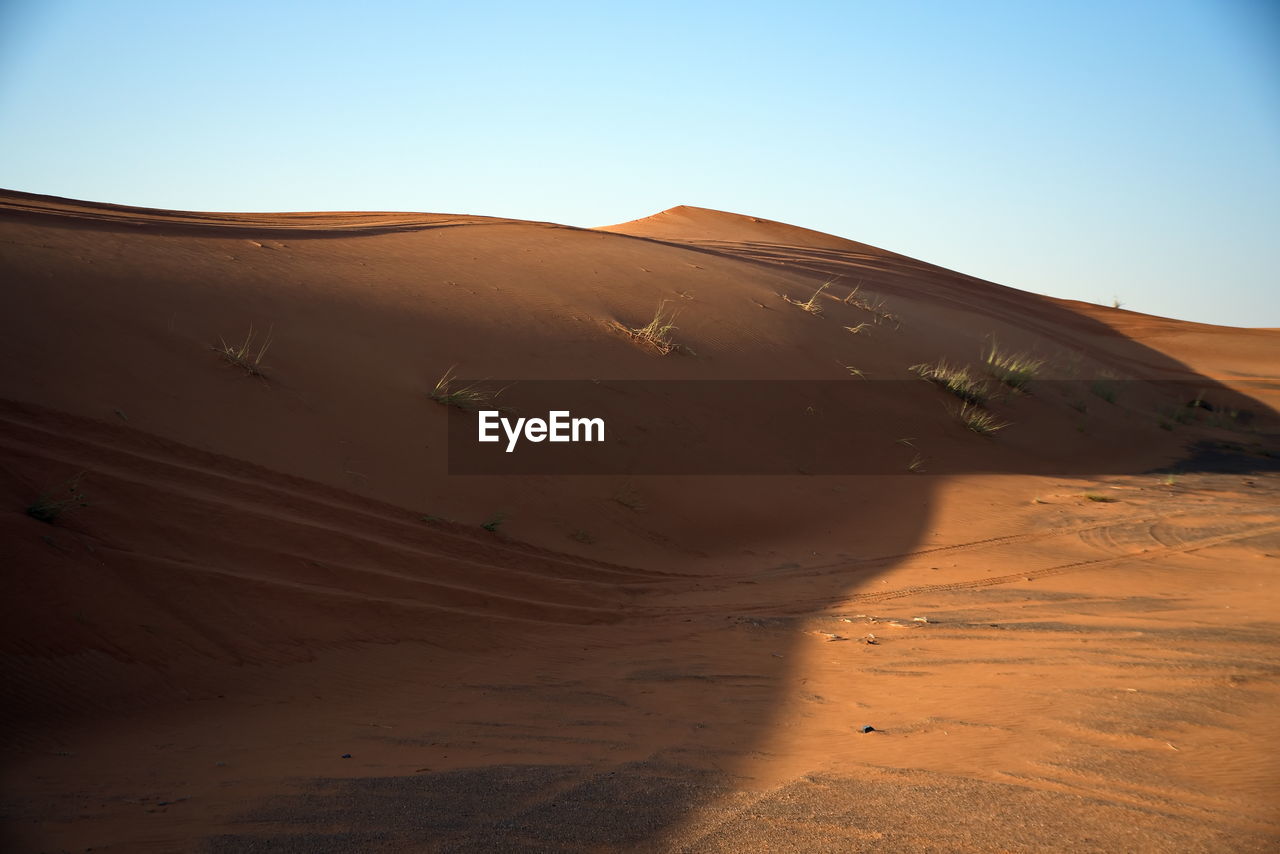 Around nazwa and pink rock desert, viewing of the sand and plant in the desert, sharjah, uae