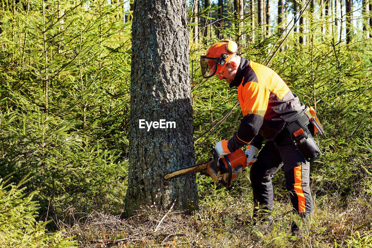 Professional lumberjack with protective workwear and chainsaw working in a forest