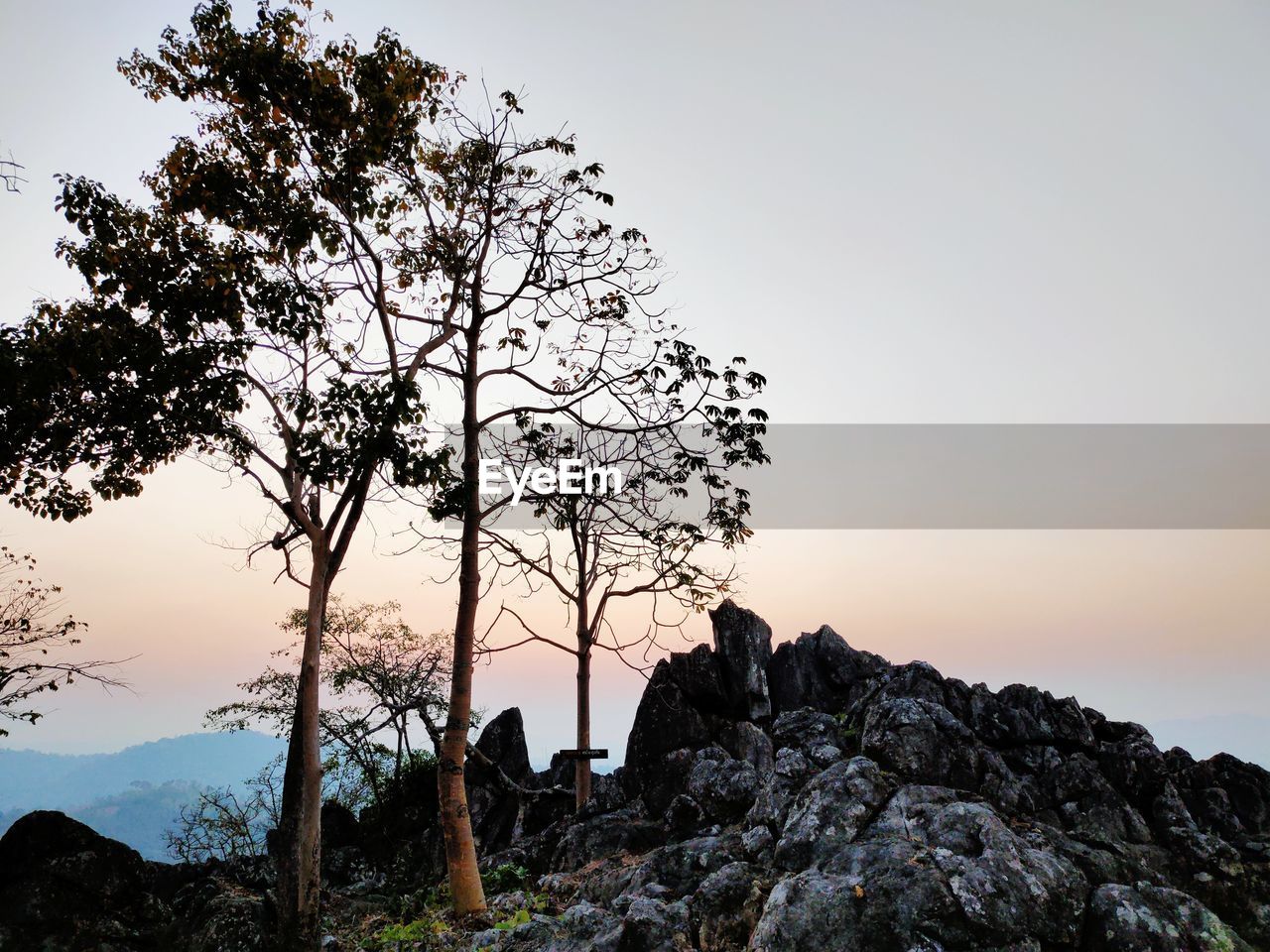 Silhouette rocks by trees against sky during sunset