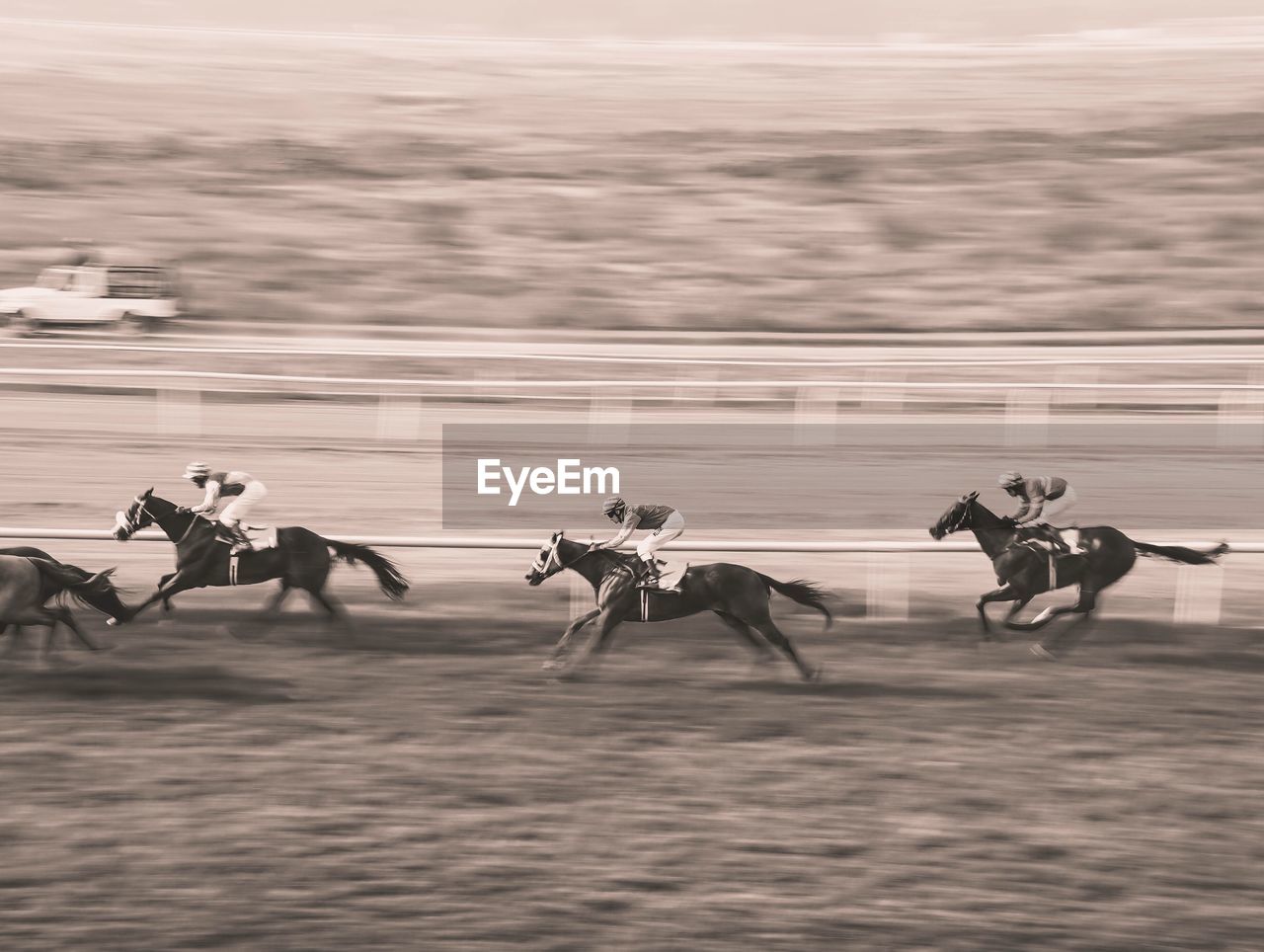Thoroughbred race in action