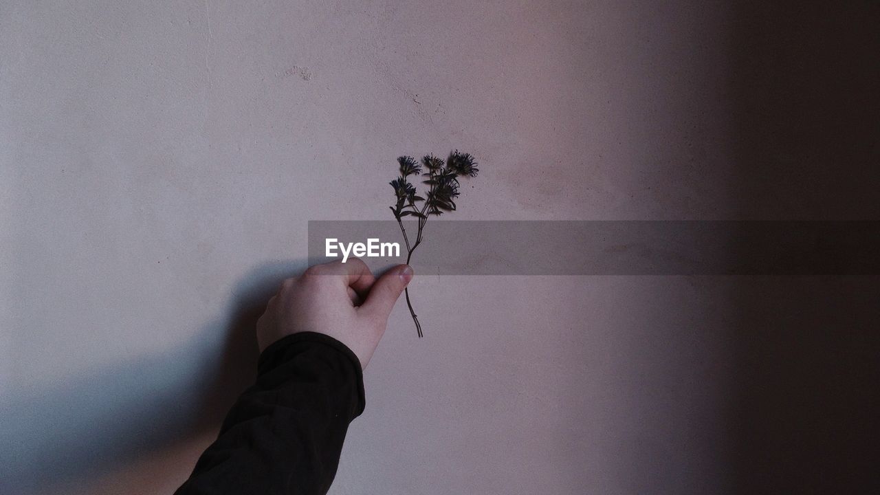 LOW SECTION OF MAN WITH FLOWER ON HAND