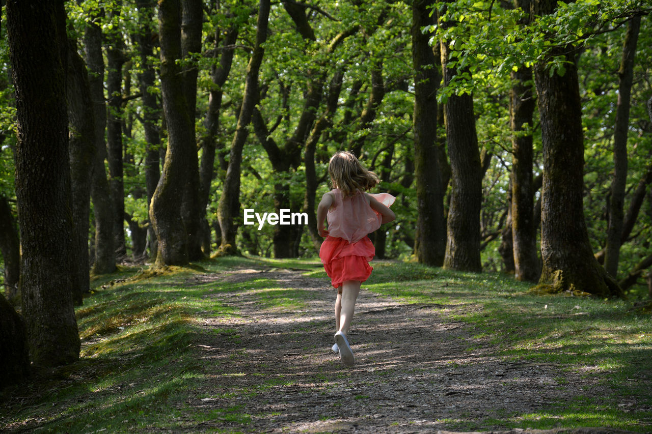 Rear view of girl running on footpath in forest