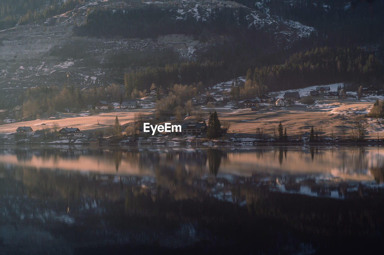 Scenic view of lake in forest