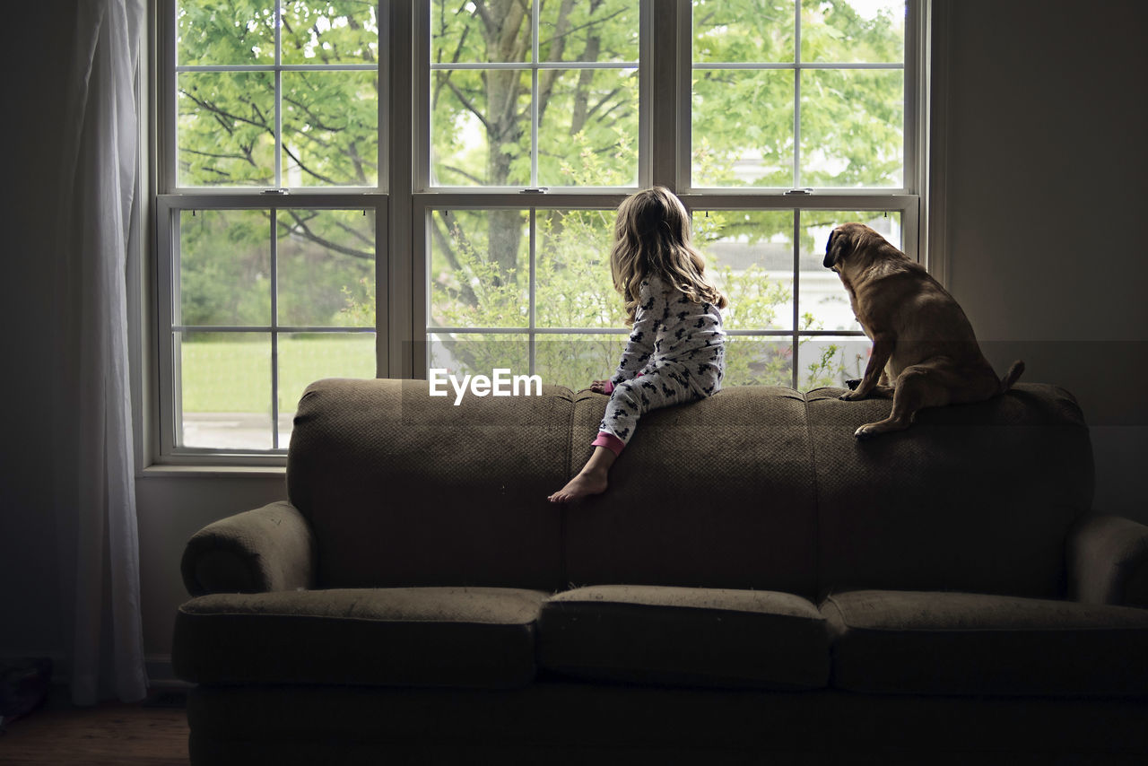 Side view of girl and dog looking through window while sitting on sofa at home