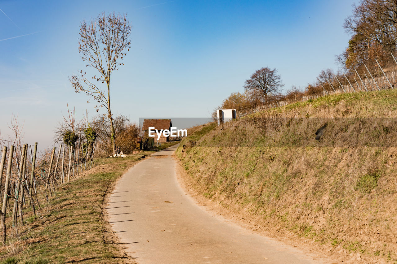 A vineyard in the south of germany invites you to go hiking in the sunshine in winter