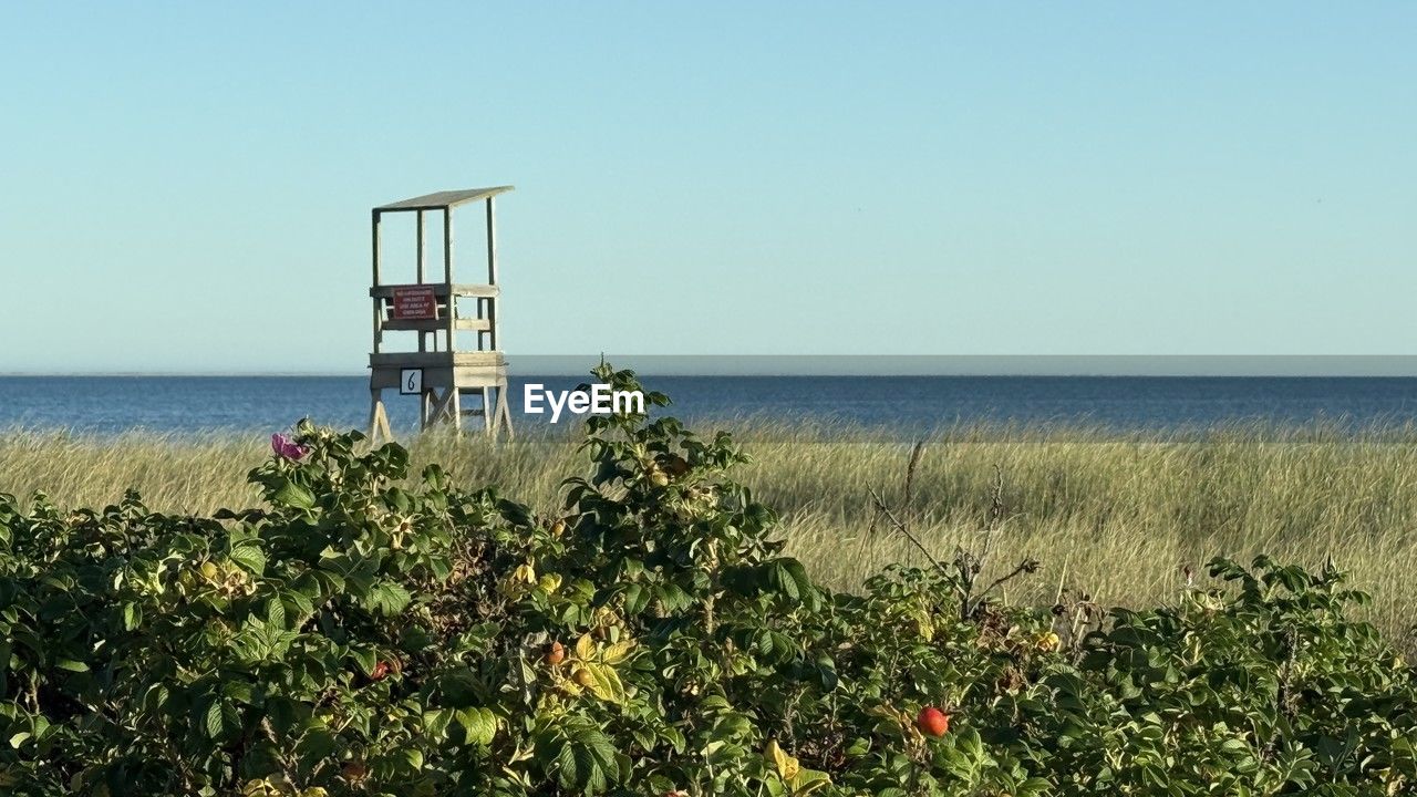 sea, horizon over water, water, sky, horizon, beach, nature, coast, land, shore, plant, ocean, beauty in nature, scenics - nature, lifeguard hut, clear sky, tranquility, day, tranquil scene, lifeguard, tower, bay, no people, architecture, blue, growth, outdoors, body of water, built structure, man made structure, copy space, flower, non-urban scene, idyllic, sunny, sunlight, grass, sand, security, protection, holiday