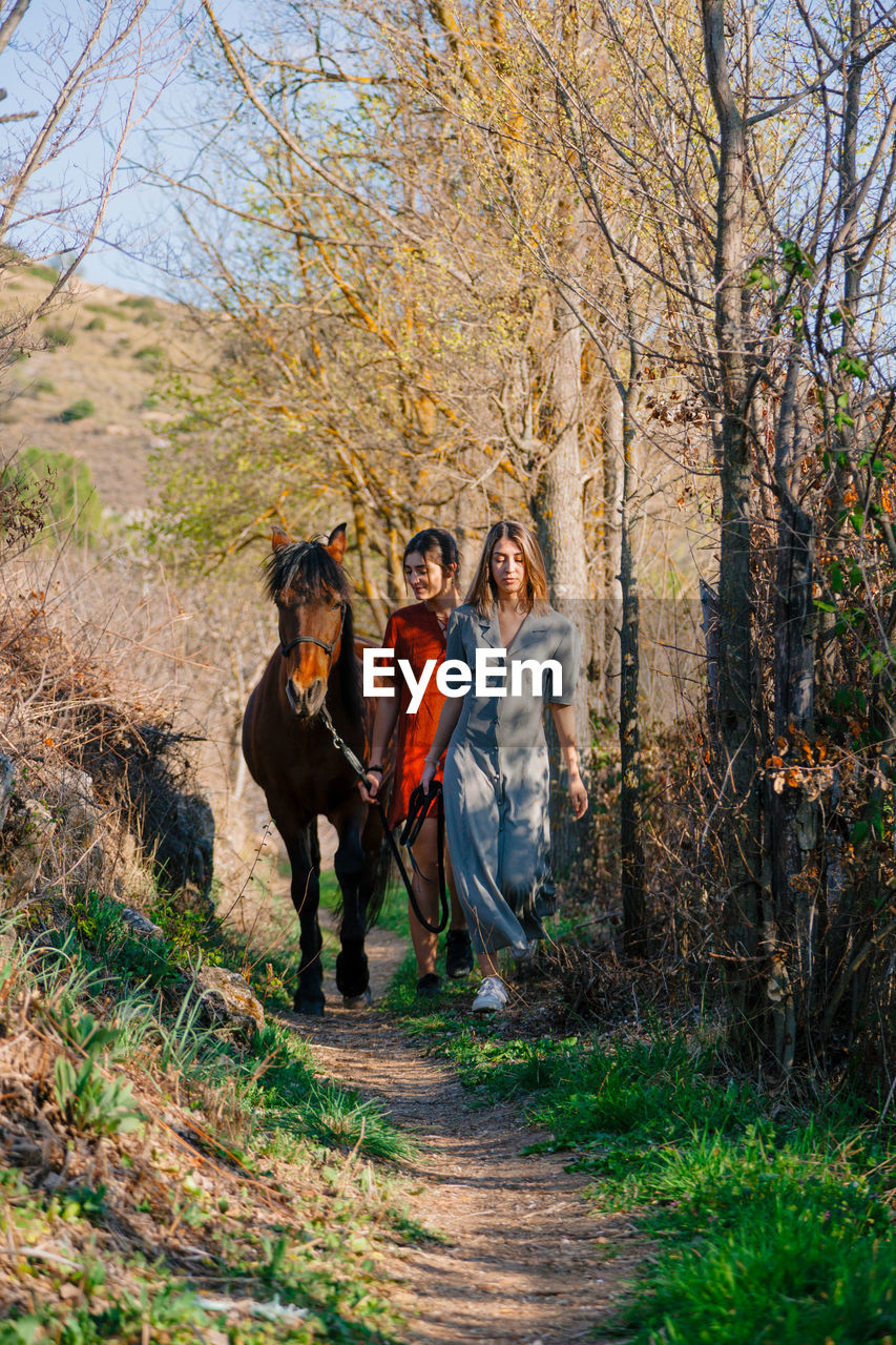 Full length of women walking with horse outdoors