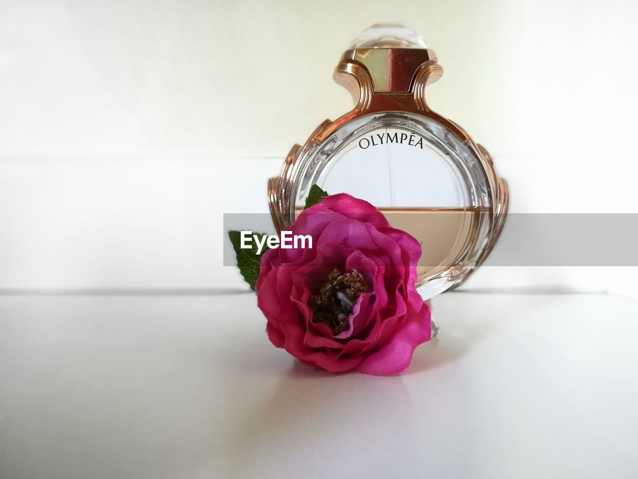 CLOSE-UP OF PINK FLOWERS IN VASE