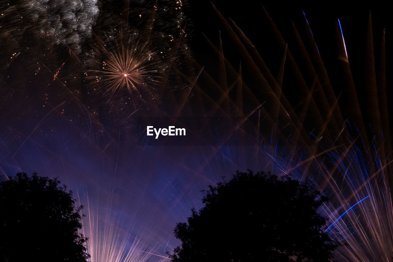 Low angle view of fireworks against sky at night