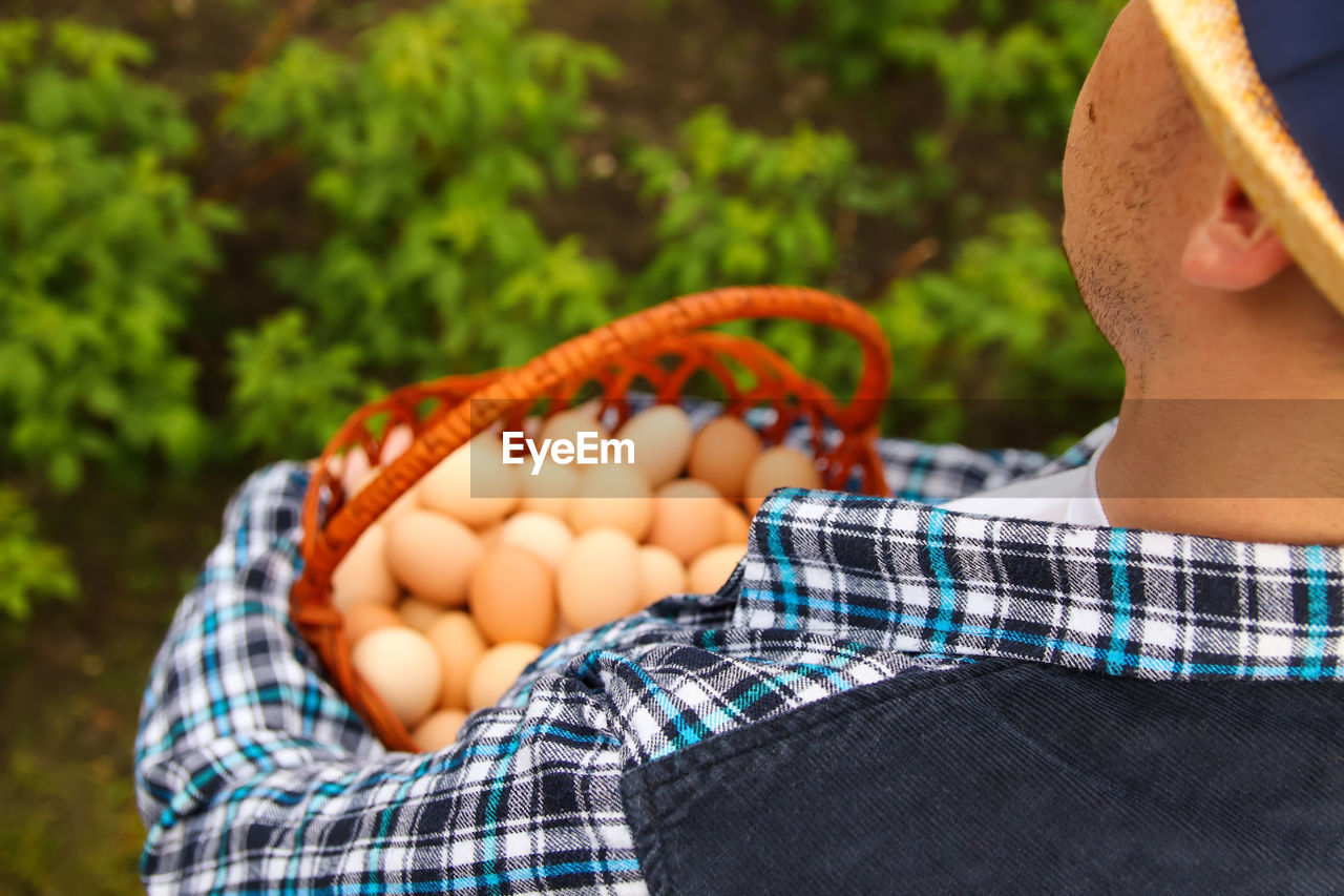 Man holding many eggs in basket. men holding whole basket of brown organic eggs on nature green 