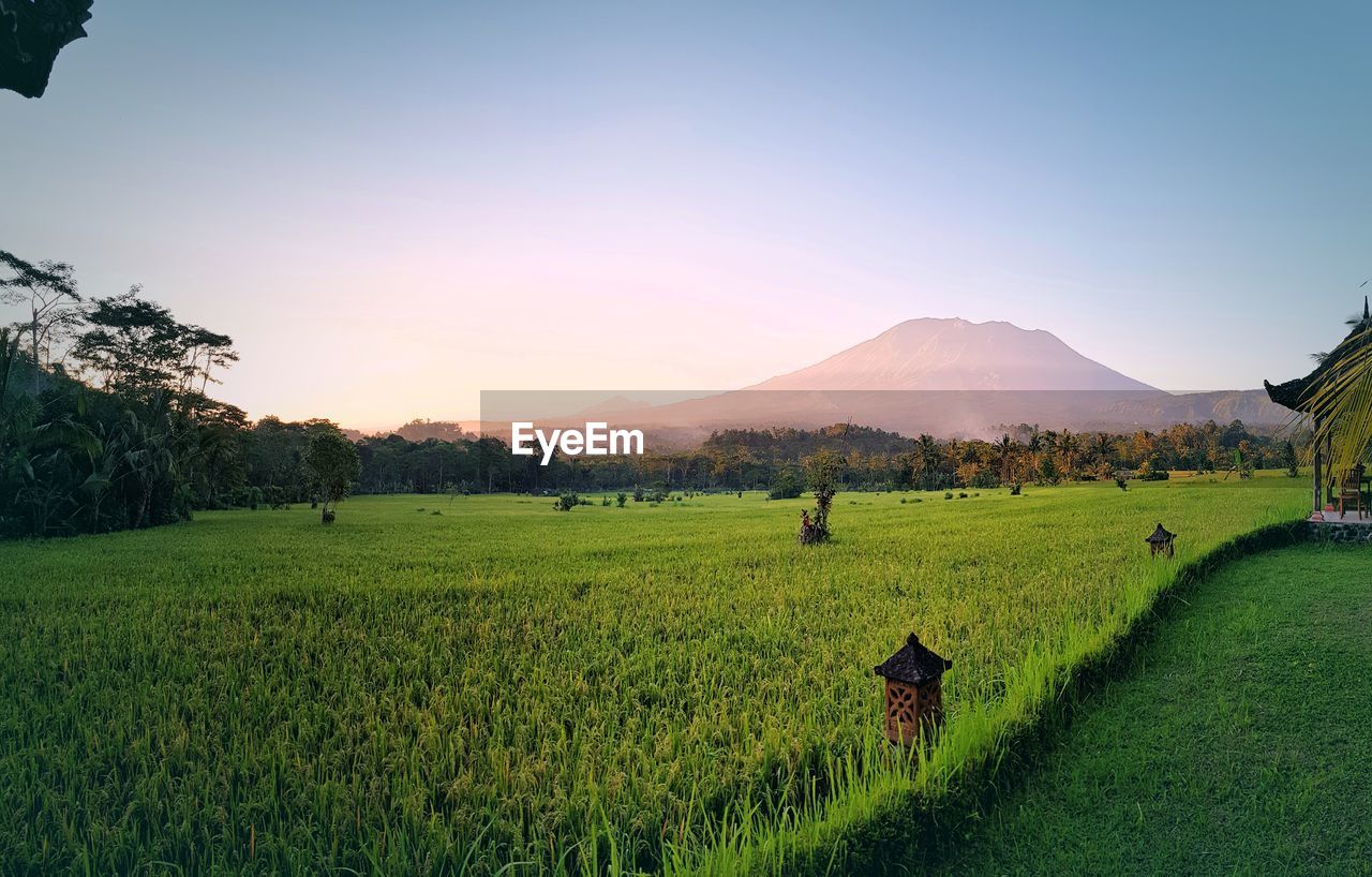 Scenic view of field against sky during sunset