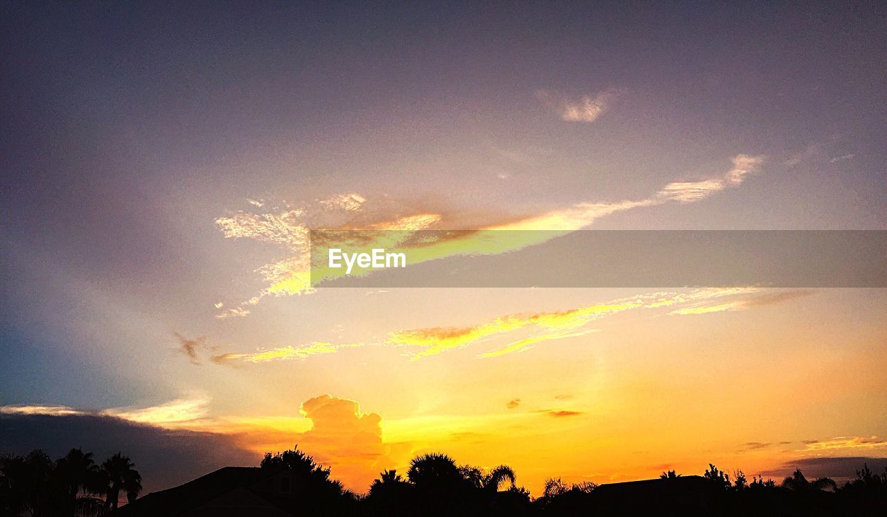 Low angle view of silhouette trees against orange sunset sky