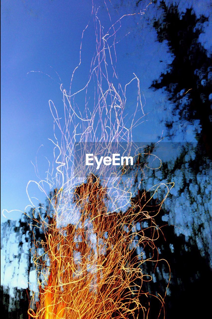 LOW ANGLE VIEW OF BARE TREES AGAINST SKY