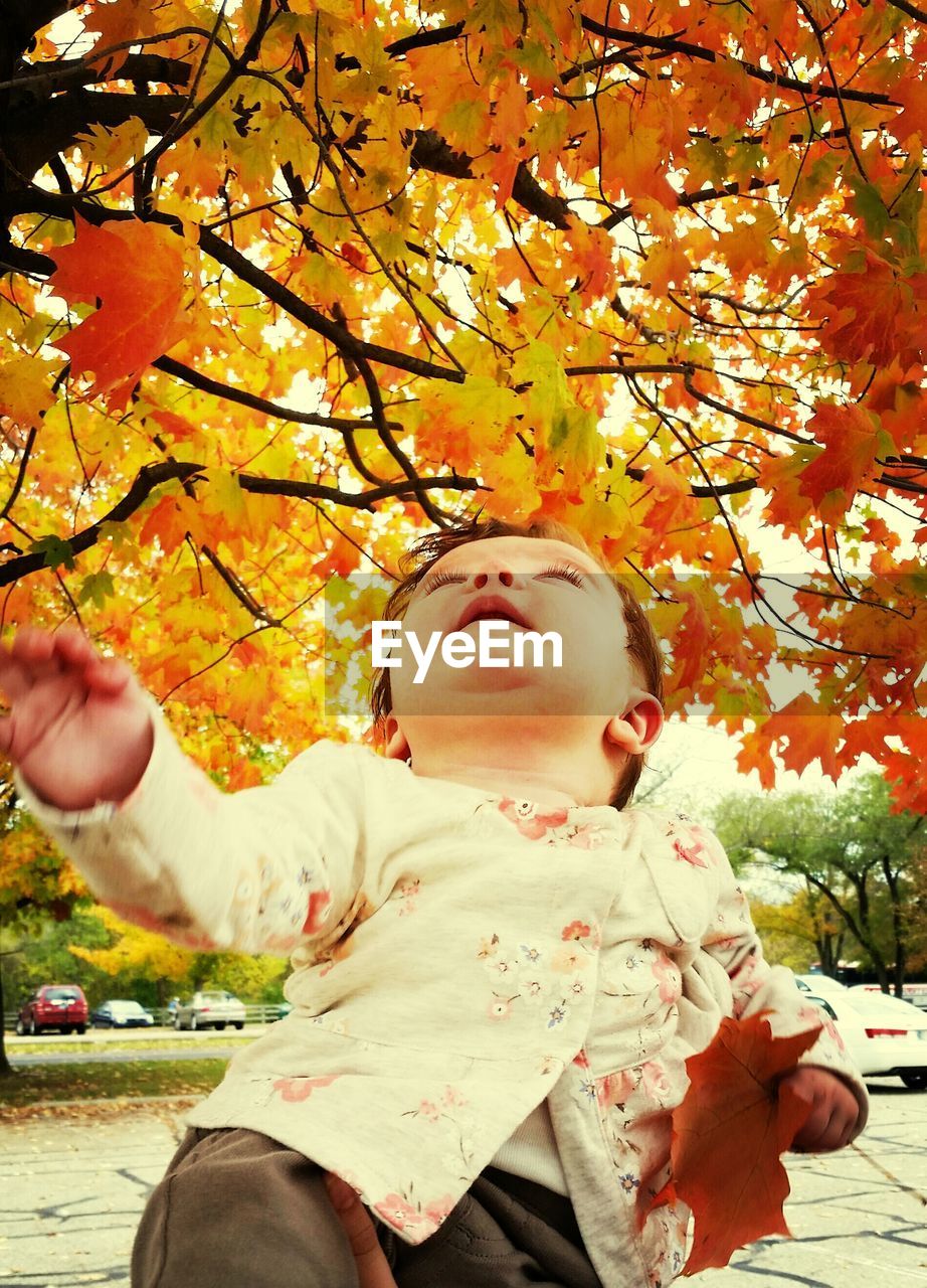 Baby under tree during autumn