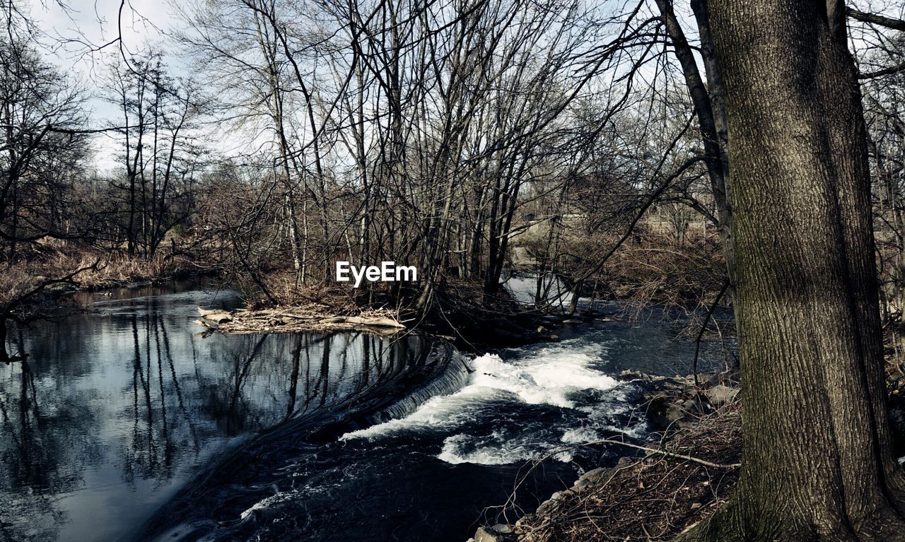 RIVER PASSING THROUGH FOREST