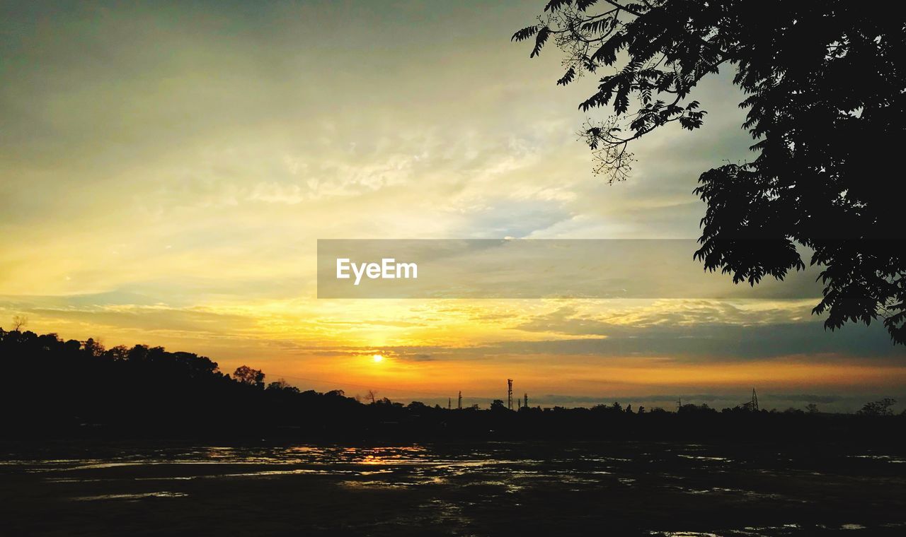 SILHOUETTE TREES BY PLANTS AGAINST SKY DURING SUNSET