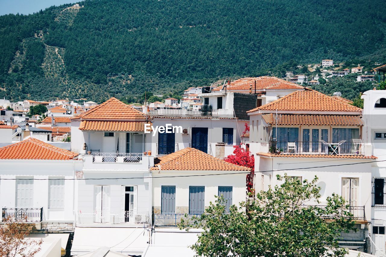 Houses in town