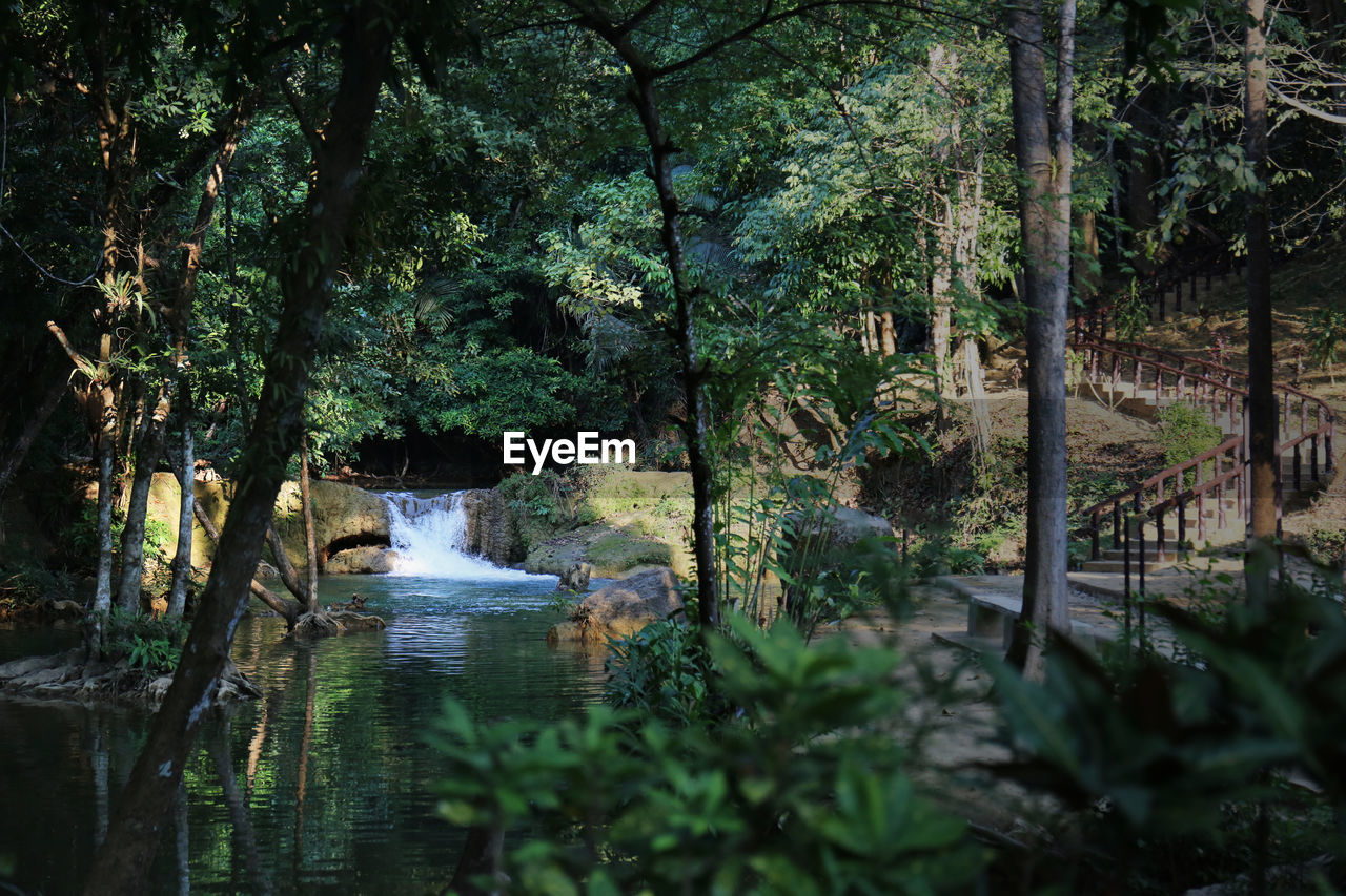 SCENIC VIEW OF RIVER FLOWING IN FOREST