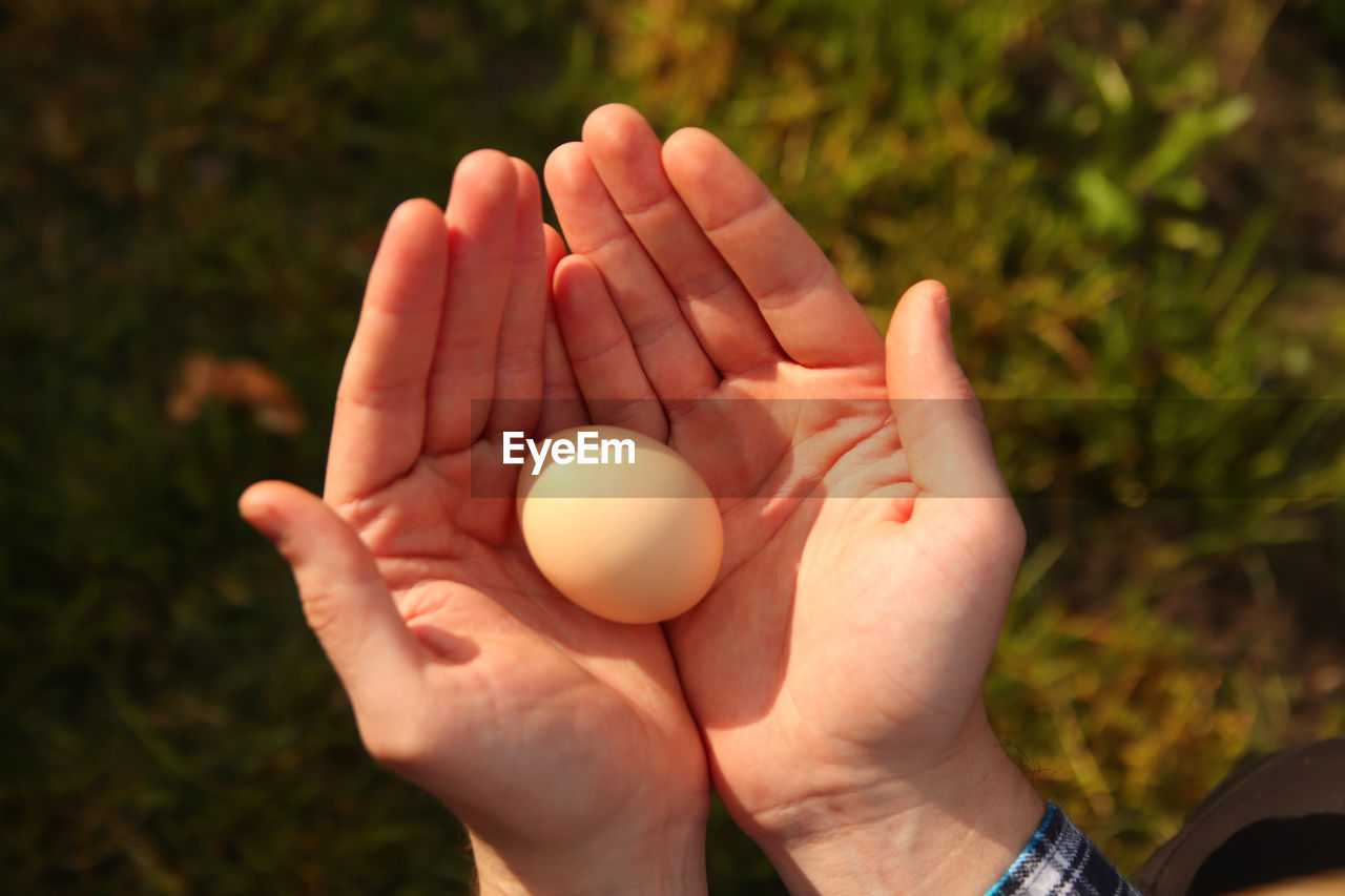 Human hands hold a chicken egg. top view male hands holding one egg. easter