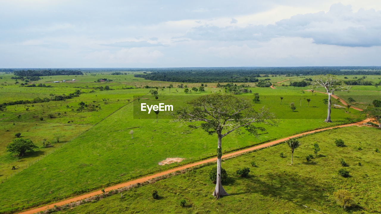 landscape, environment, plain, hill, scenics - nature, land, plant, green, rural area, field, grassland, beauty in nature, sky, agriculture, nature, pasture, tranquil scene, tranquility, rural scene, cloud, grass, day, farm, growth, non-urban scene, no people, meadow, plateau, horizon, idyllic, tree, outdoors, prairie, natural environment, water, aerial photography, animal, soil, remote, high angle view, travel, sea, animal themes, horizon over land, livestock, crop, travel destinations, tourism