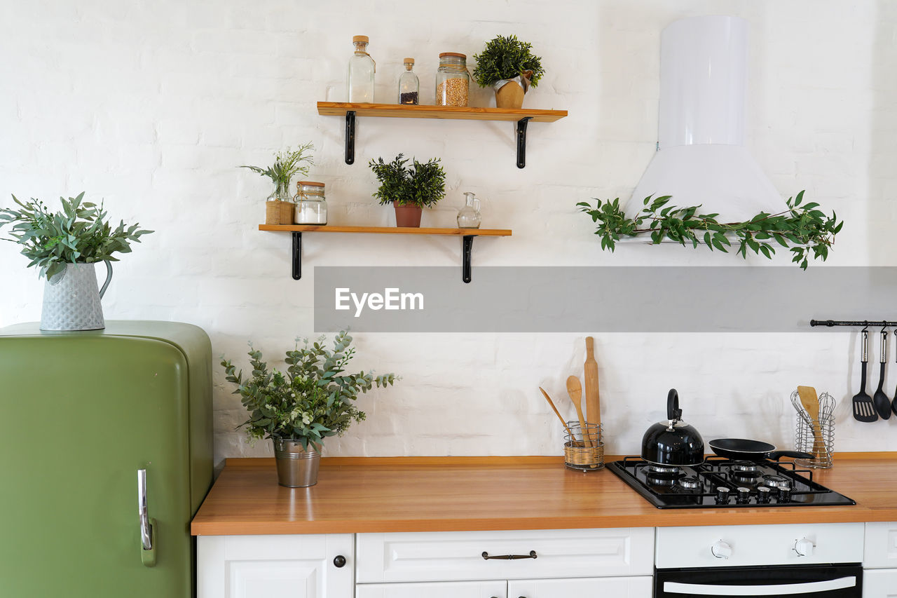 White kitchen interior with furniture, shelves and green houseplants in pots