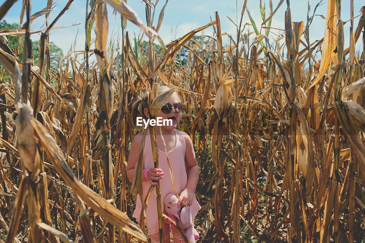 Young standing in corn field against sky