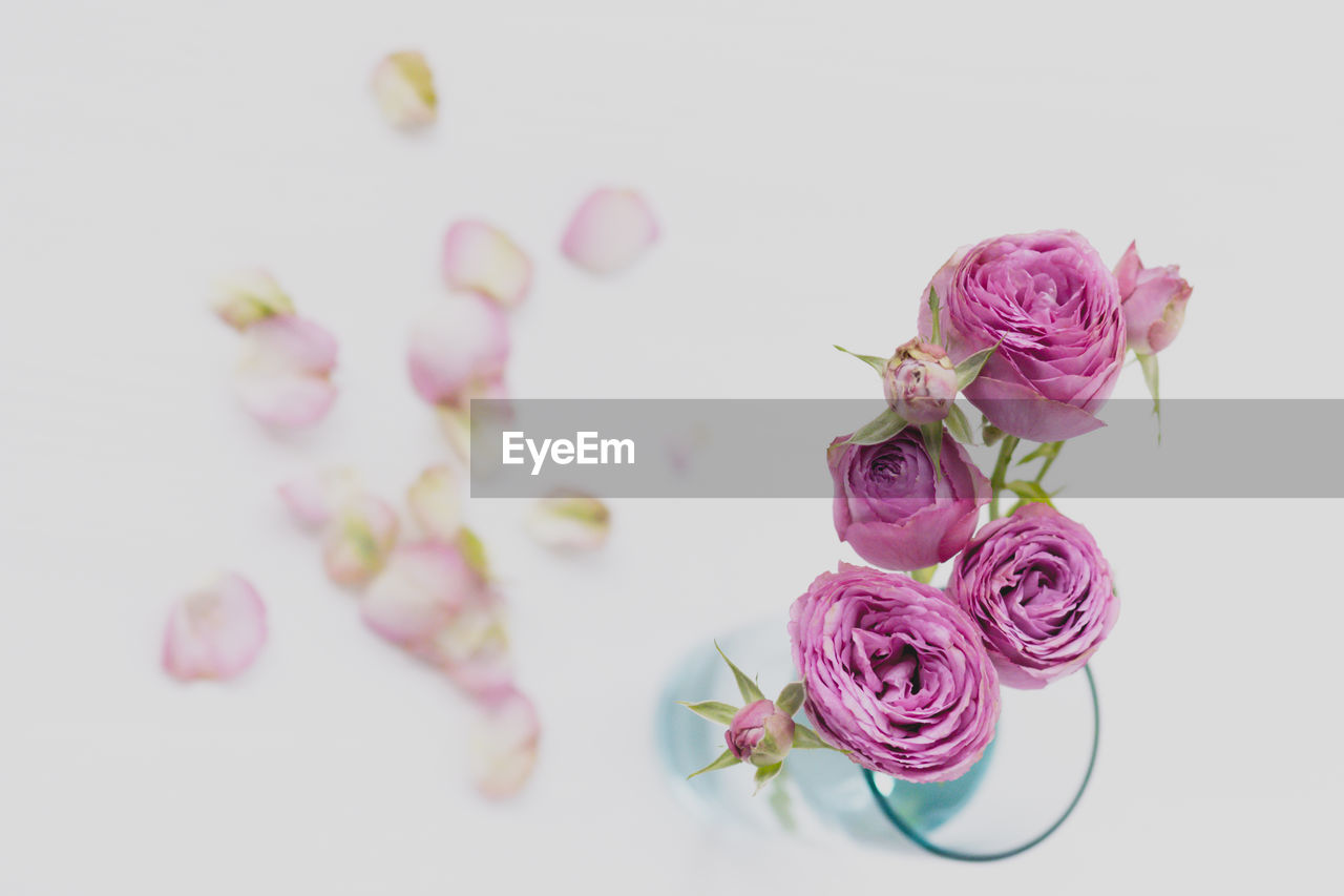 CLOSE-UP OF PINK ROSE BOUQUET