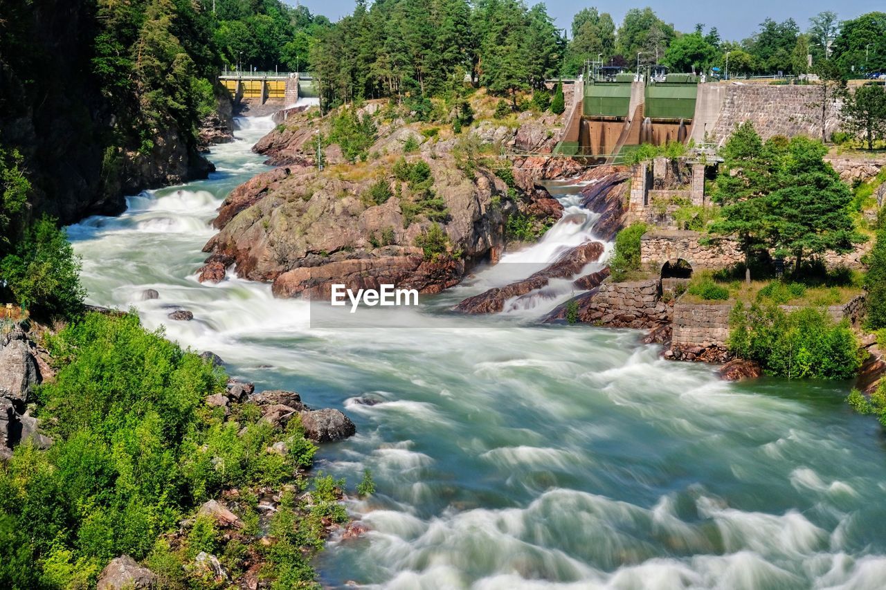 SCENIC VIEW OF WATERFALL ALONG PLANTS