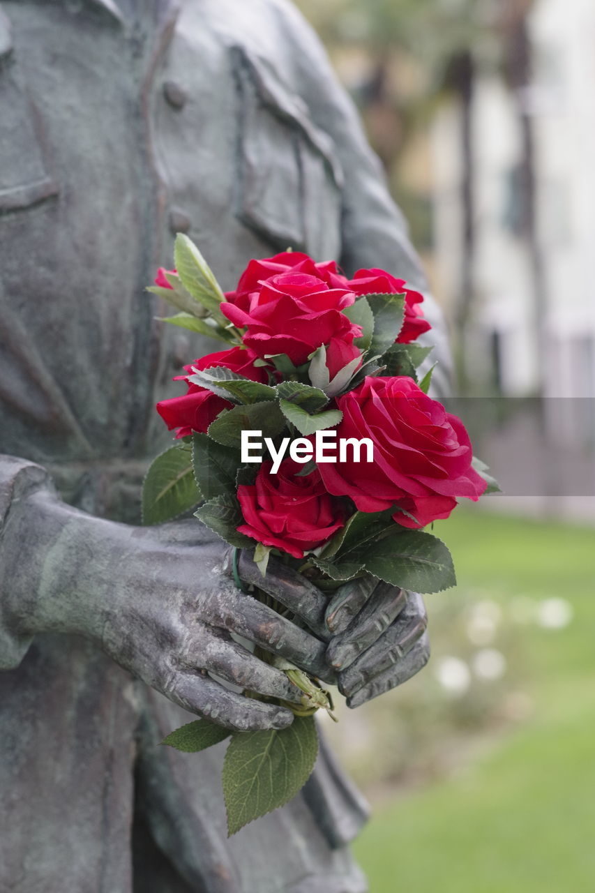 CLOSE-UP OF HAND HOLDING ROSE AGAINST RED ROSES