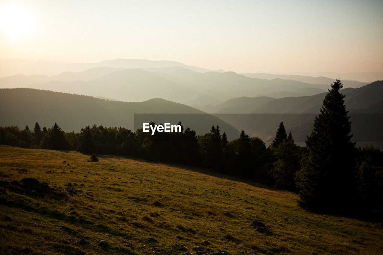 Scenic view of field against sky during sunset