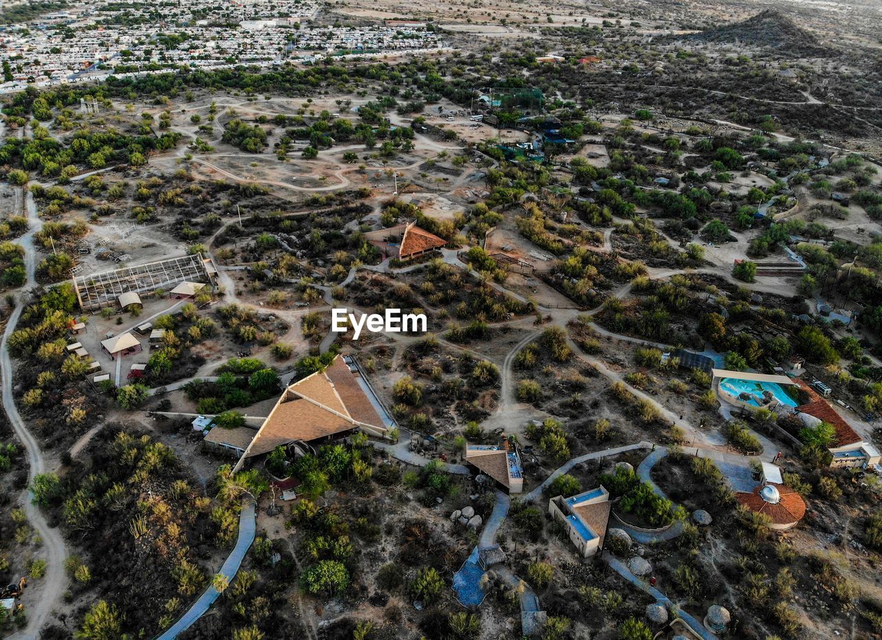 High angle view of trees and buildings in city