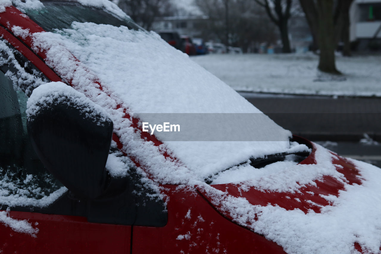 CLOSE-UP OF SNOW COVERED CAR ON TREE