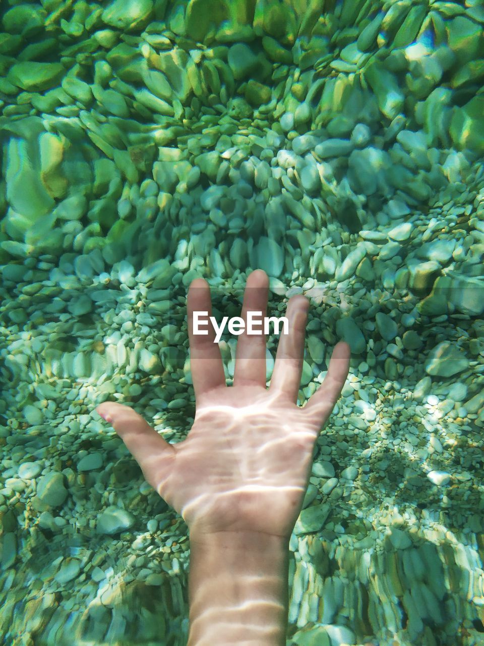 Close-up of hand undersea