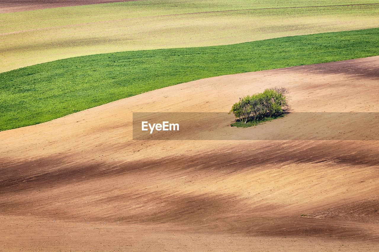 Scenic view of grassy hill