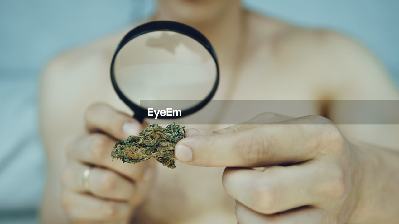 Midsection of man looking cannabis through magnifying glass