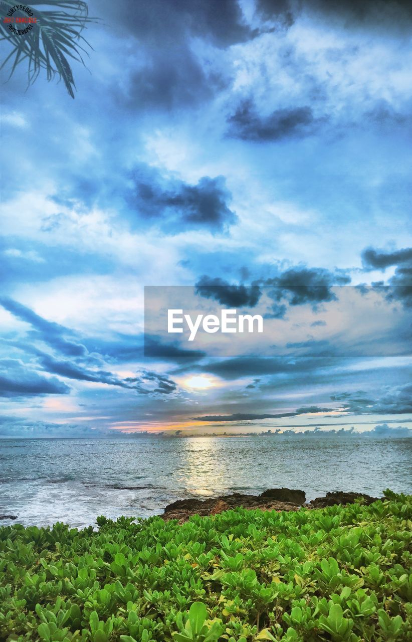 IDYLLIC VIEW OF BEACH AGAINST SKY