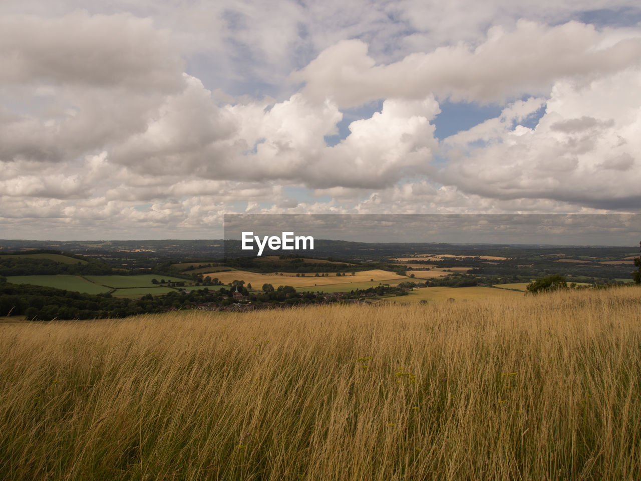 Scenic view of agricultural field against sky