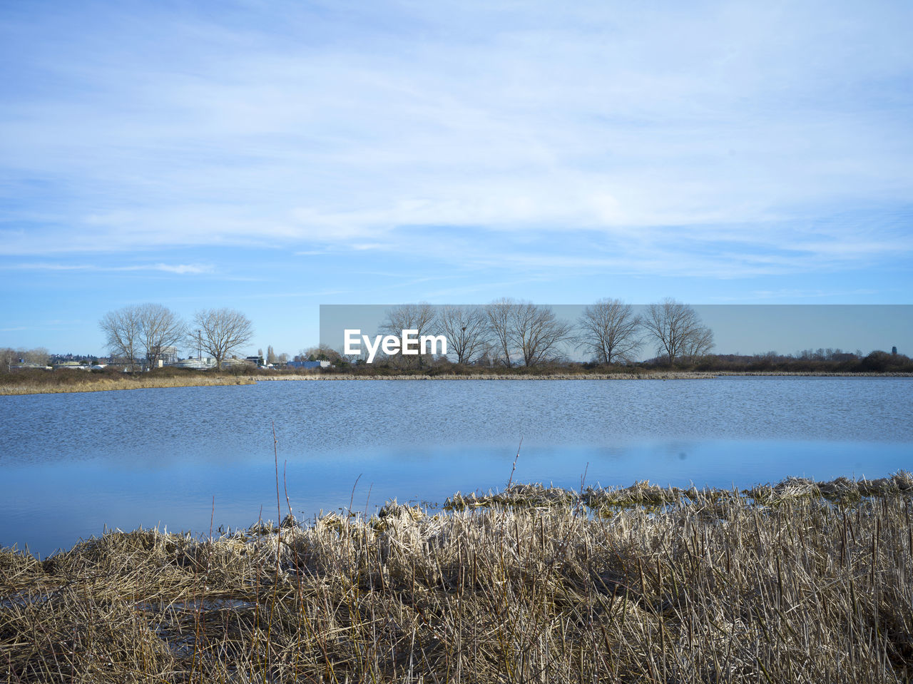 reflection, water, sky, nature, plant, lake, tranquility, tranquil scene, scenics - nature, beauty in nature, marsh, winter, shore, no people, cloud, wetland, landscape, reservoir, tree, day, grass, morning, non-urban scene, environment, land, natural environment, body of water, blue, growth, outdoors, wilderness, lakeshore, idyllic, beach, horizon, remote, reed, rural area