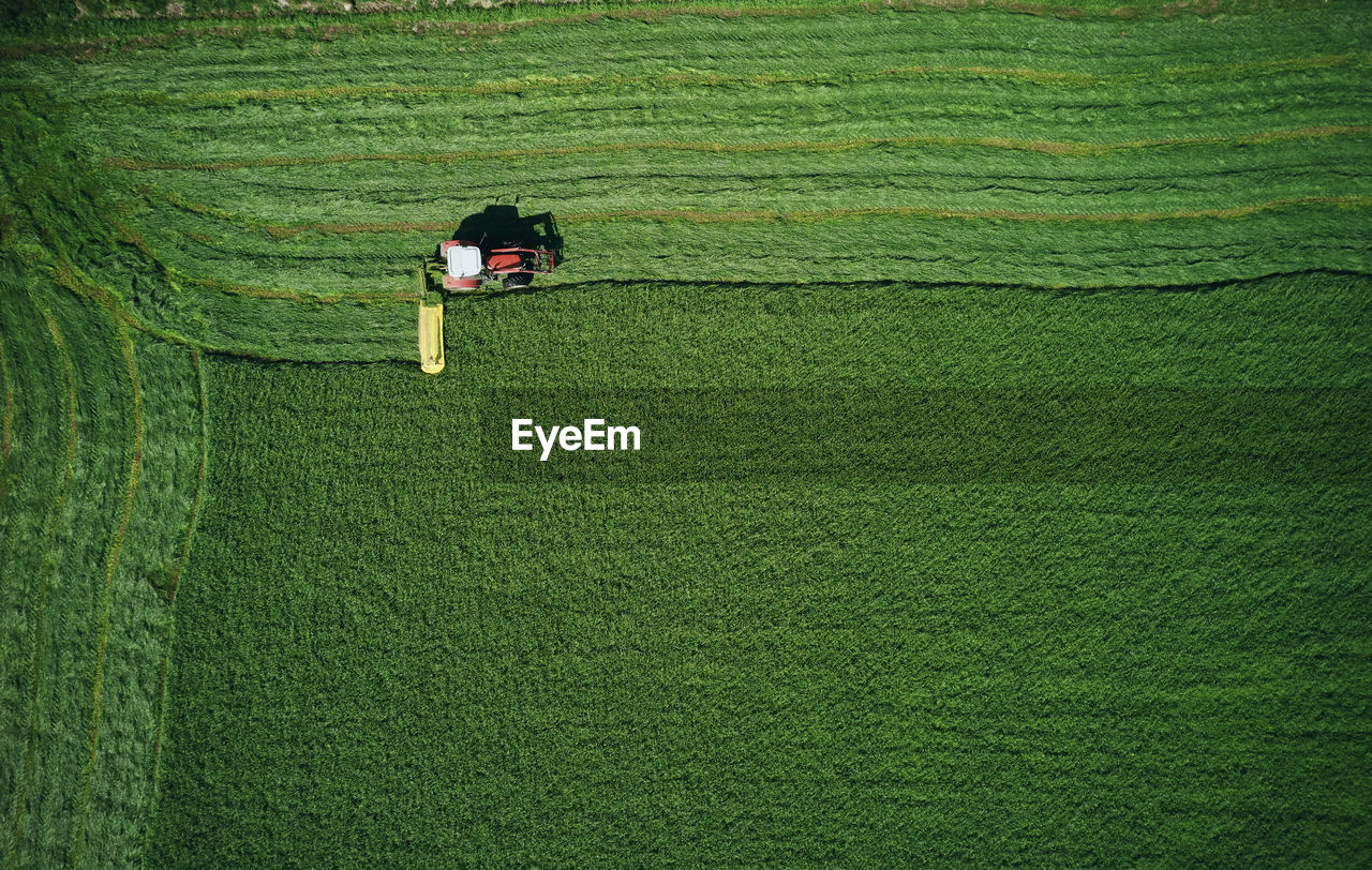 Tractor working on green field furrowing wheat