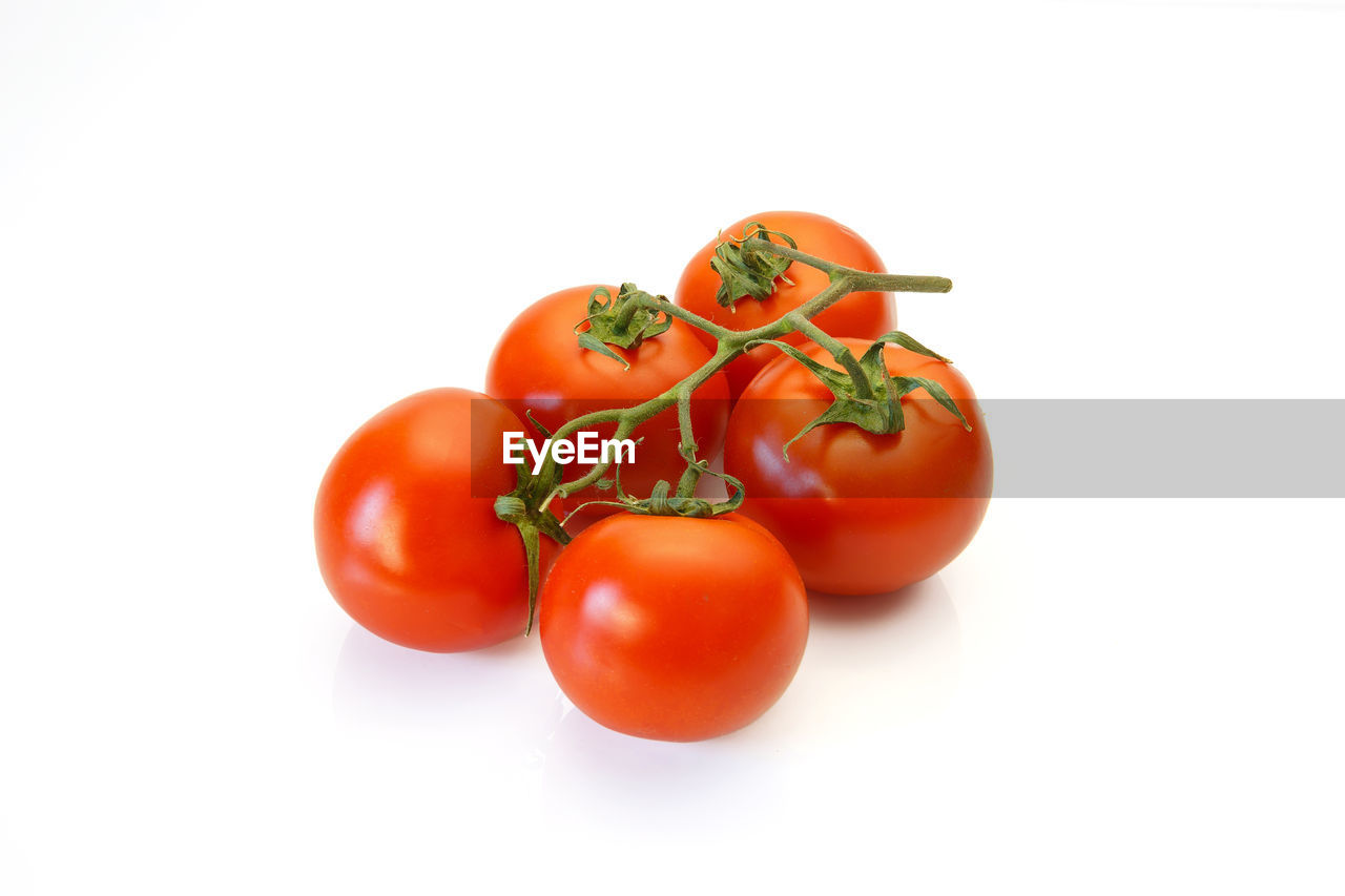 CLOSE-UP OF FRESH TOMATOES AGAINST WHITE BACKGROUND