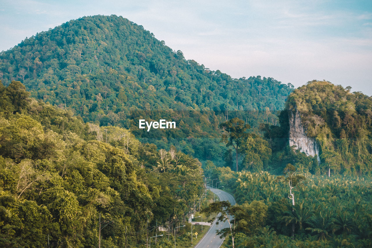 SCENIC VIEW OF TREES AND MOUNTAINS AGAINST SKY