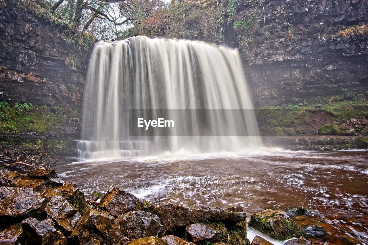 View of waterfall in forest