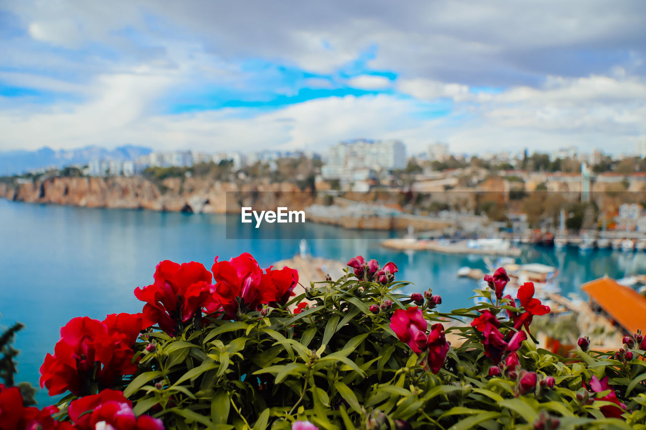scenic view of lake by buildings against sky