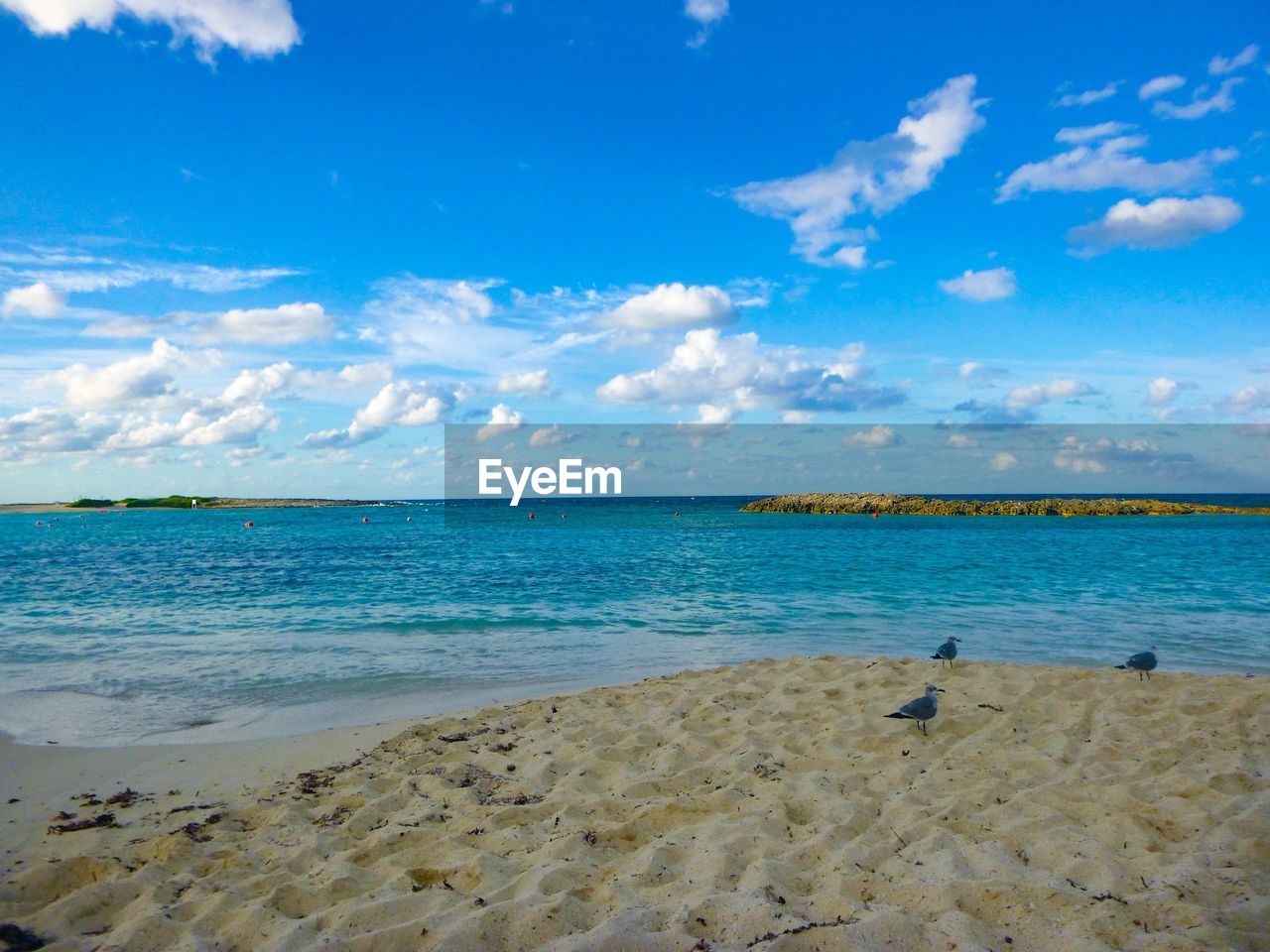 Scenic view of beach against sky