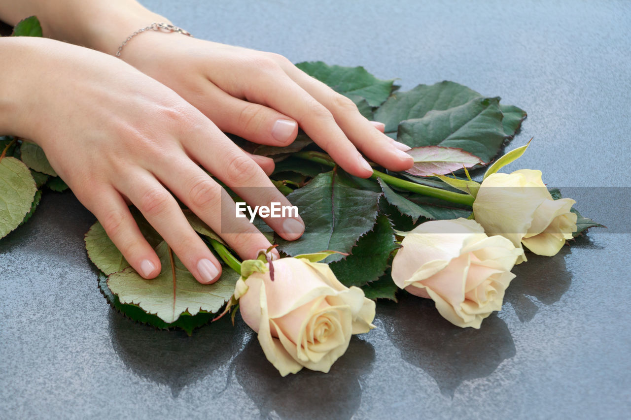Cropped hands of woman touching rose on table