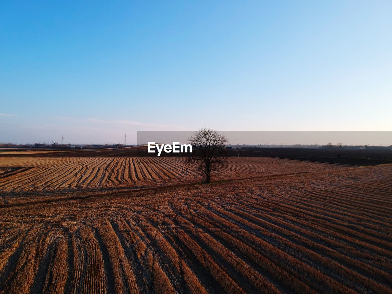 Scenic view of field against clear sky