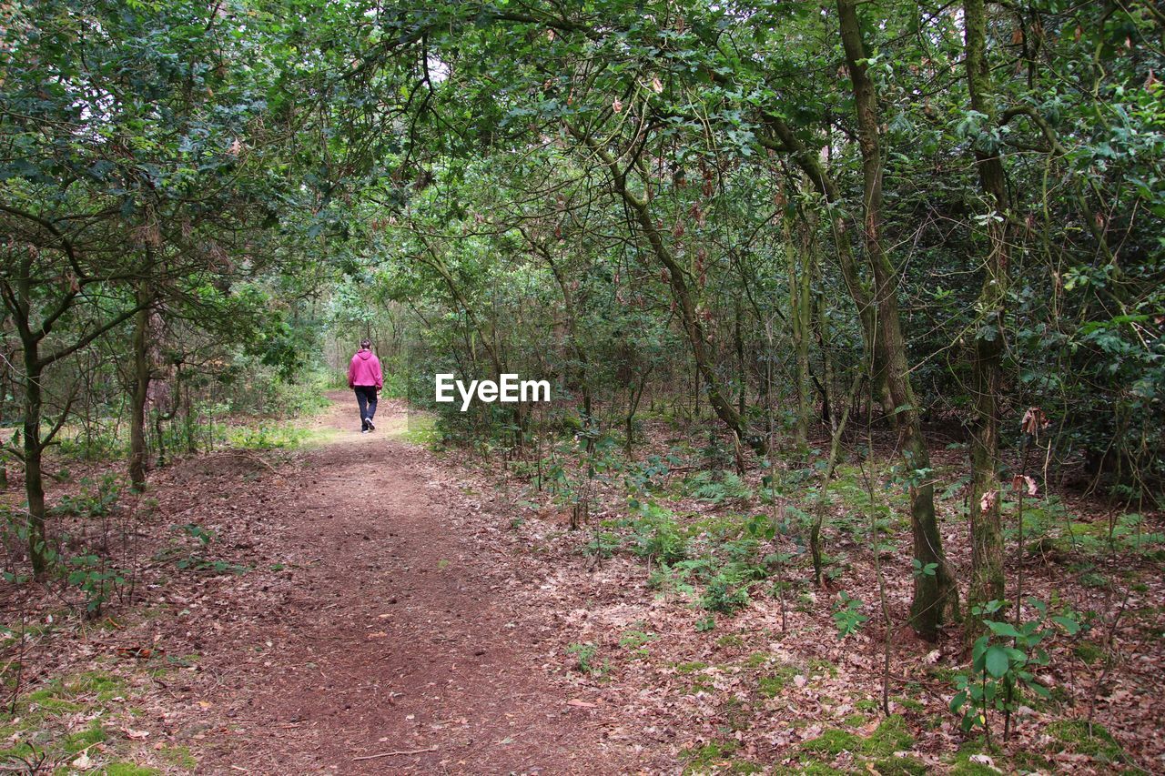 REAR VIEW OF WOMAN WALKING ON FOOTPATH