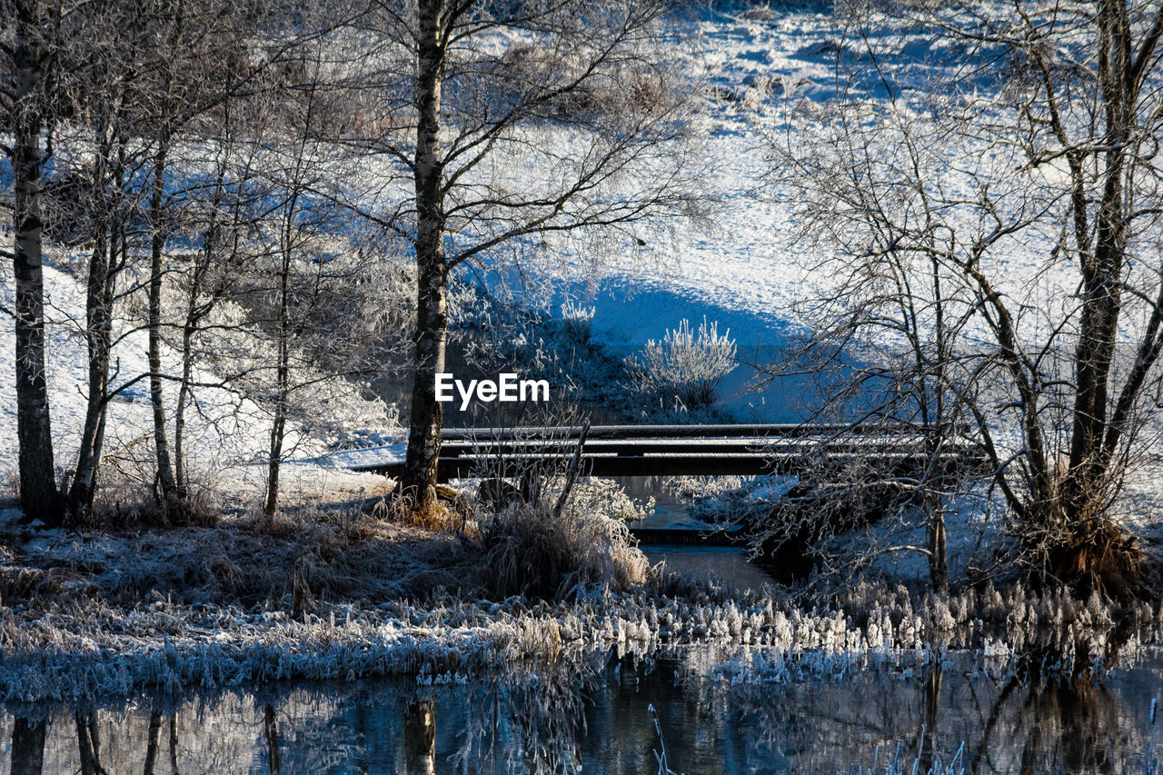 Scenic view of frozen lake in forest during winter