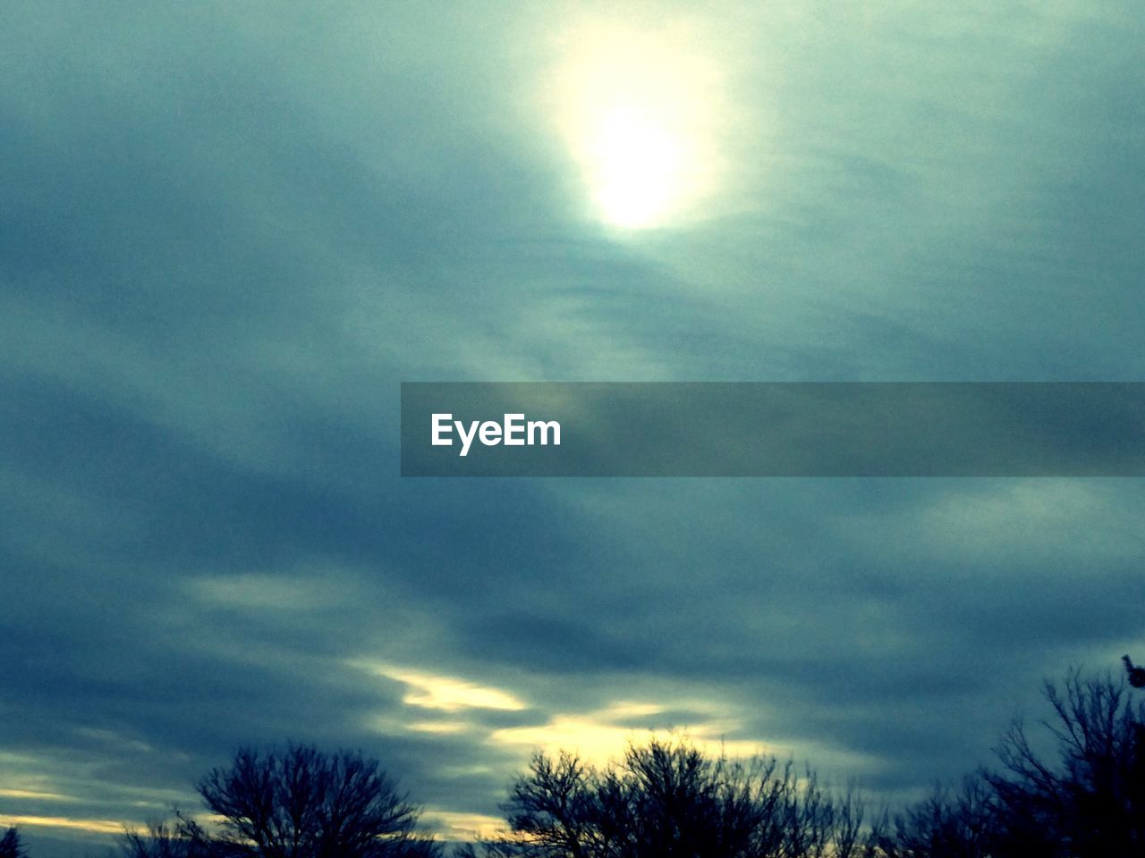 SILHOUETTE OF TREES AGAINST CLOUDY SKY