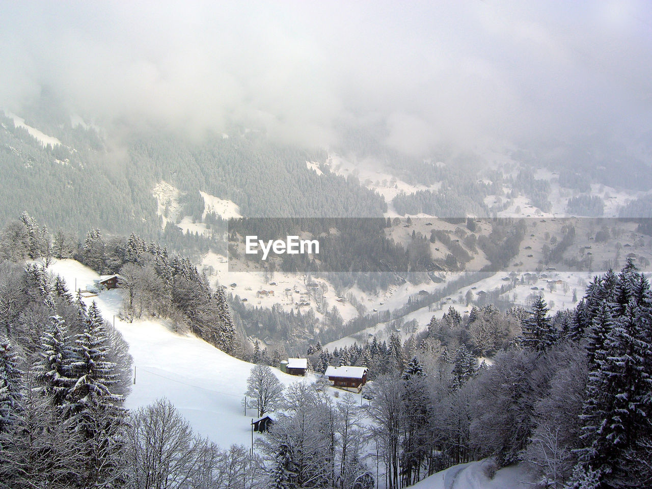 Scenic view of snow covered landscape